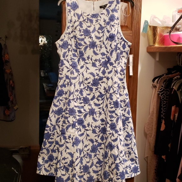 Ivy Blue Dress, NWT - Picture 1 of 3